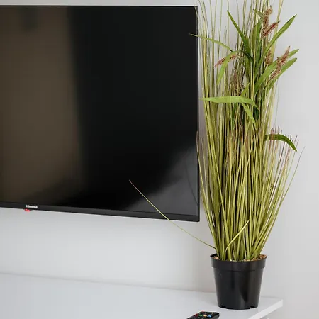 Luxury “bozdosh” Apartment Uzhhorod